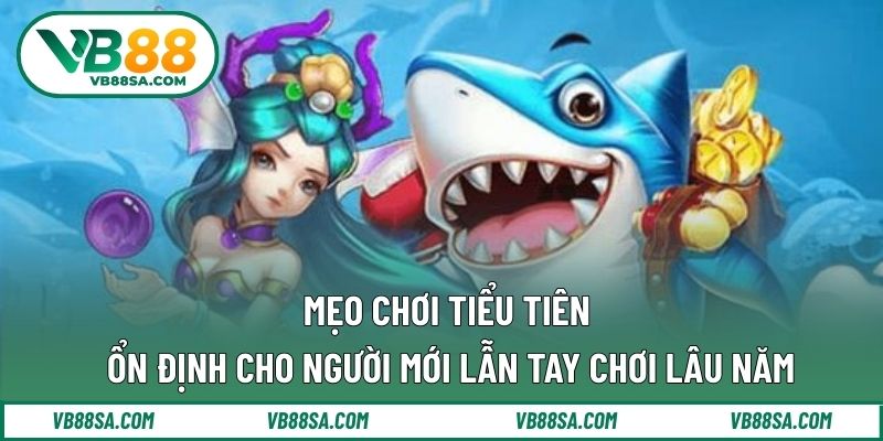 Mẹo chơi tiểu tiên ổn định cho người mới lẫn tay chơi lâu năm